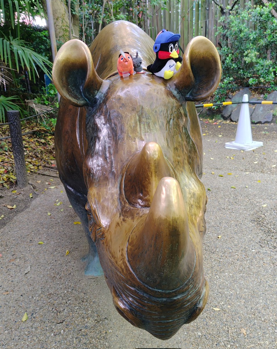 たかぽん tweet media