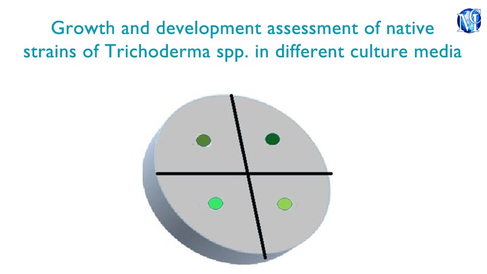medcraveonline's tweet photo. Growth and development assessment of native strains of #Trichoderma spp. in different culture media, published in Journal of Applied #Biotechnology and #Bioengineering by González Basso, et al.
https://t.co/eBwHQ3Tf4H
#epidermis #incubation #biology #sciences https://t.co/qnIJqhI88S
