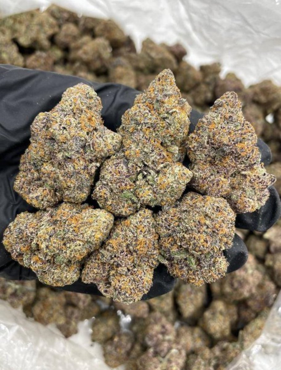 BristonBuds's tweet image. #London weed, #Manchester weed, #Bristol weed, #Brighton weed, #Liverpool weed, #Leeds weed, #Birmingham weed, #Newcastle weed, #Southampton weed, #Portsmouth weed, #Sheffield weed,