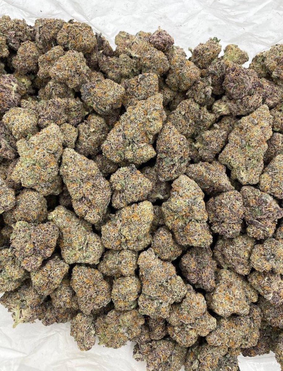 BristonBuds's tweet image. #London weed, #Manchester weed, #Bristol weed, #Brighton weed, #Liverpool weed, #Leeds weed, #Birmingham weed, #Newcastle weed, #Southampton weed, #Portsmouth weed, #Sheffield weed,