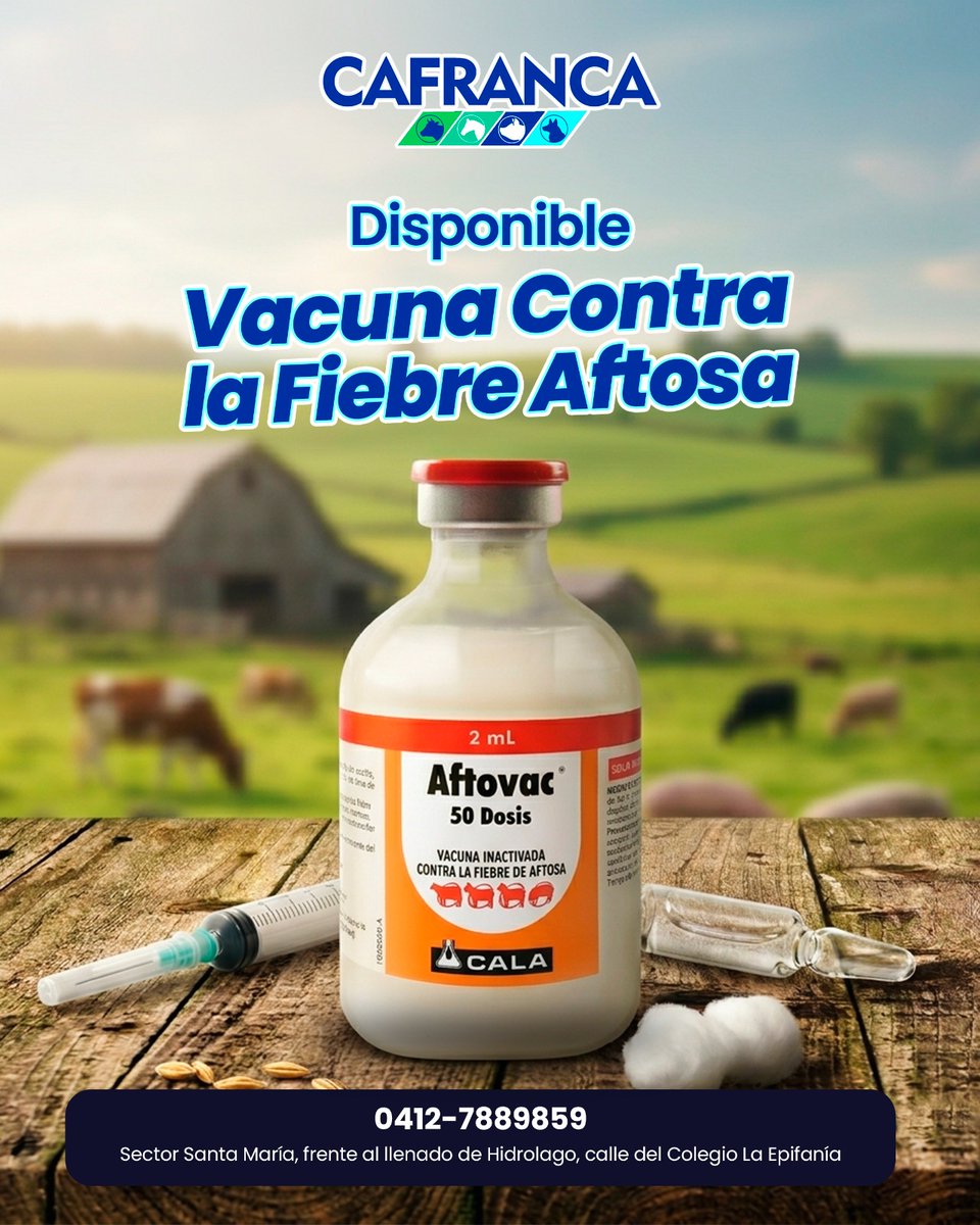 campocafeciudad tweet media