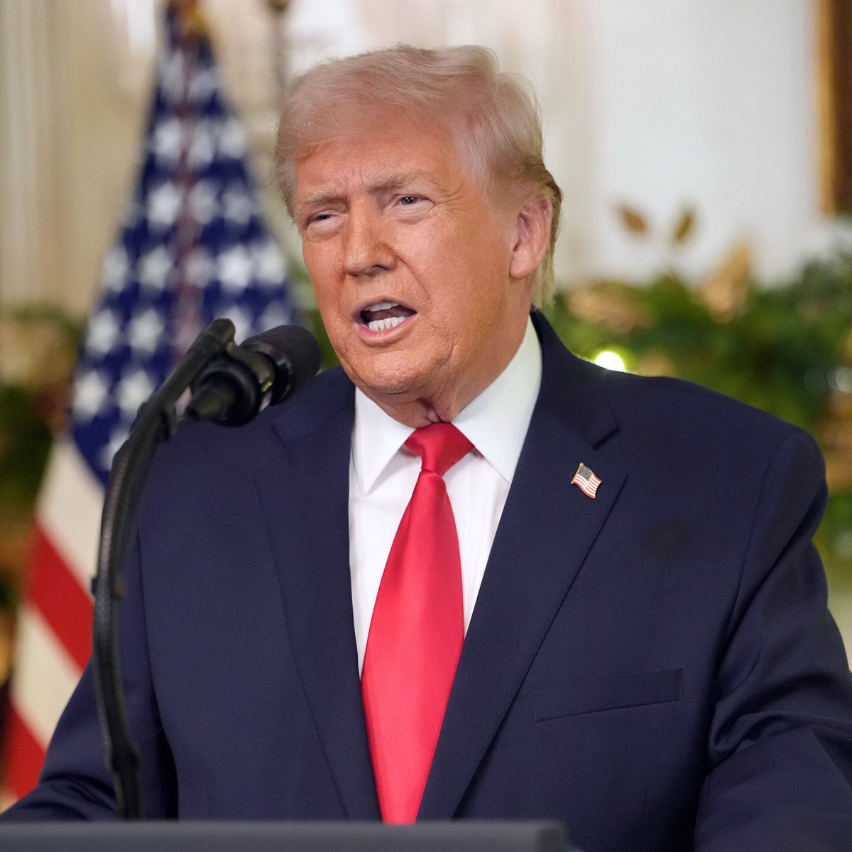 Whale Insider tweet media