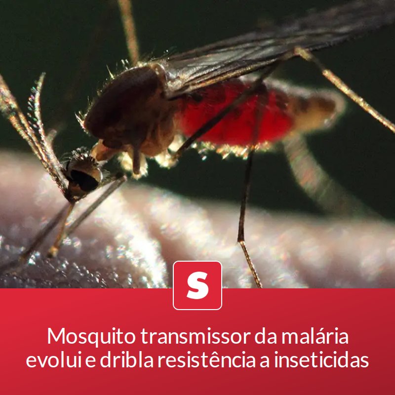 Troque a palavra "EVOLUI" por "GENETICAMENTE MODIFICADO".