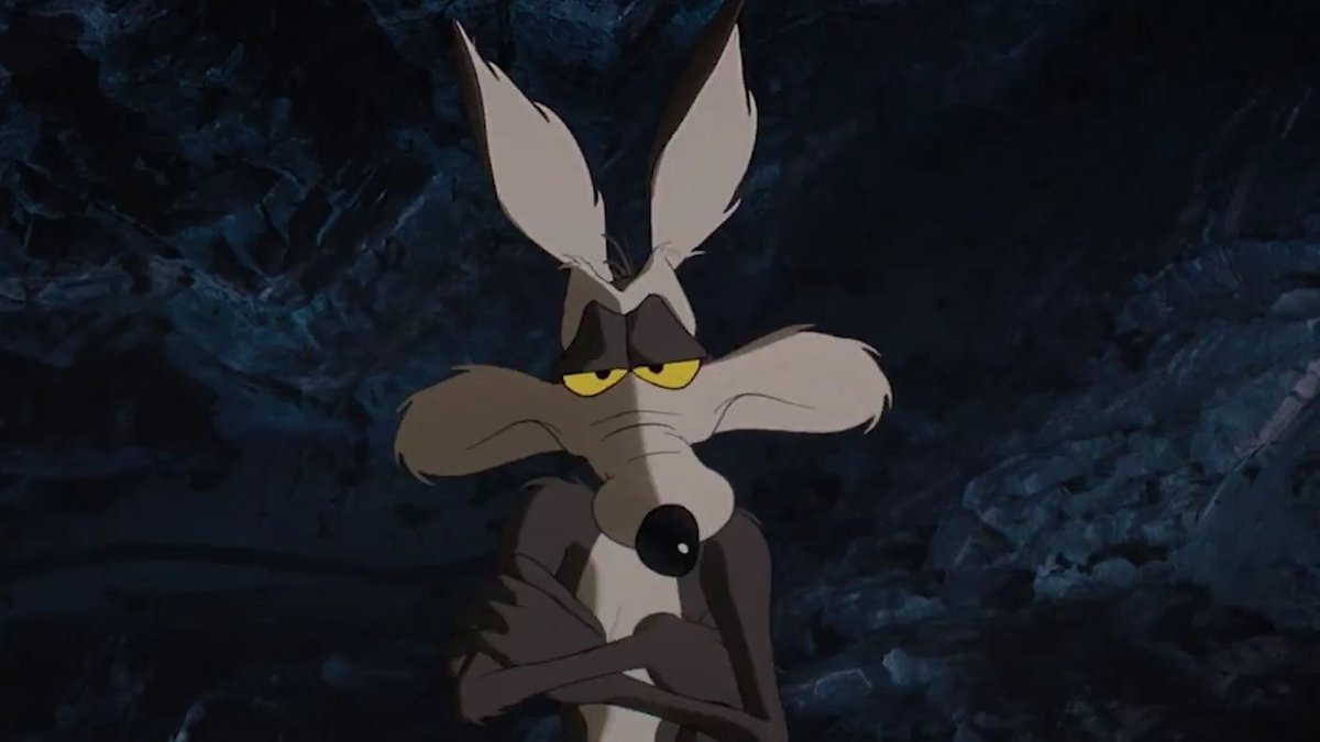 Cody | Wile E stan tweet media