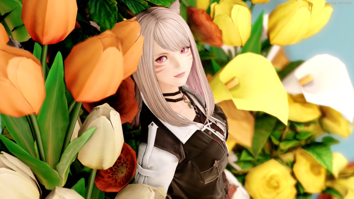 seire_ffxiv's tweet photo. 𝐺𝑜𝑜𝑑 𝑀𝑜𝑟𝑛𝑖𝑛𝑔 ˚˖𓍢ִ໋❀
*┊︎#おはミコ ┊︎ #ミコッテ ┊︎ #StudioBUD ┊︎* https://t.co/pAeeJ1EQJb