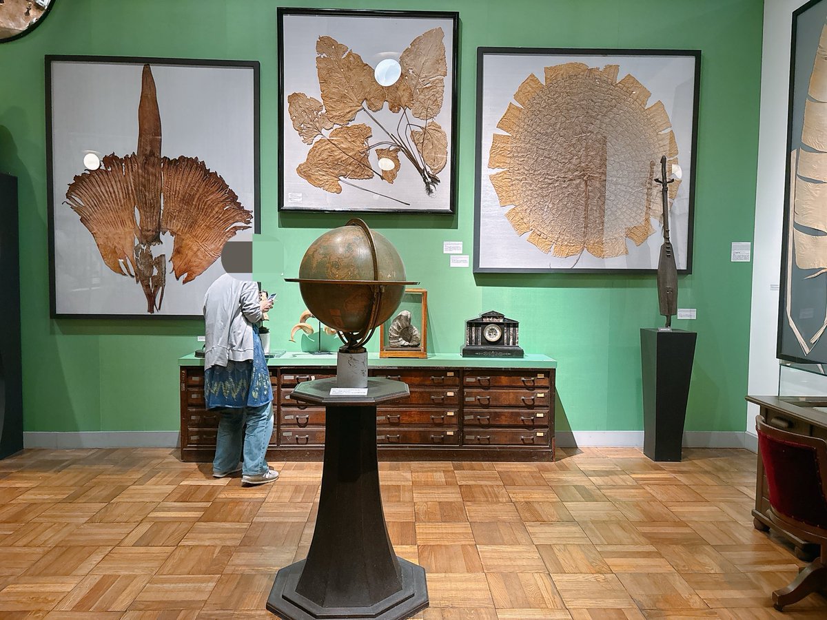 るね 『天宮図刊』 tweet media