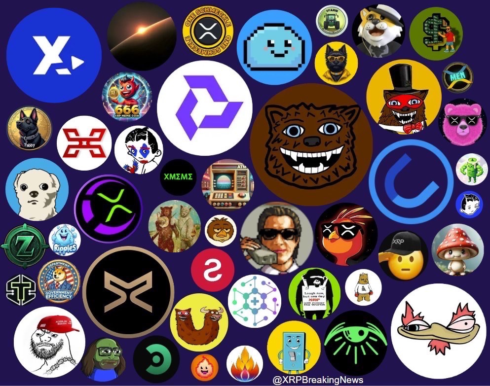 Chloe the XRP shiller 💙 tweet media