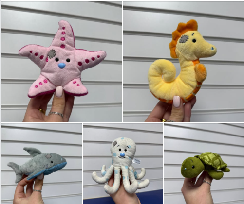 BayviewSC's tweet image. Say hello to there  adorable Blue Nose crew arrivals! 
Stella, Serena, Minty, Houdini, and Shelby can’t wait to meet you at @cardfactoryplc  🐢⭐🐙 

#bluenosecrew #oceanlife #starfish #seahorse #octopus #shark #colwynbay