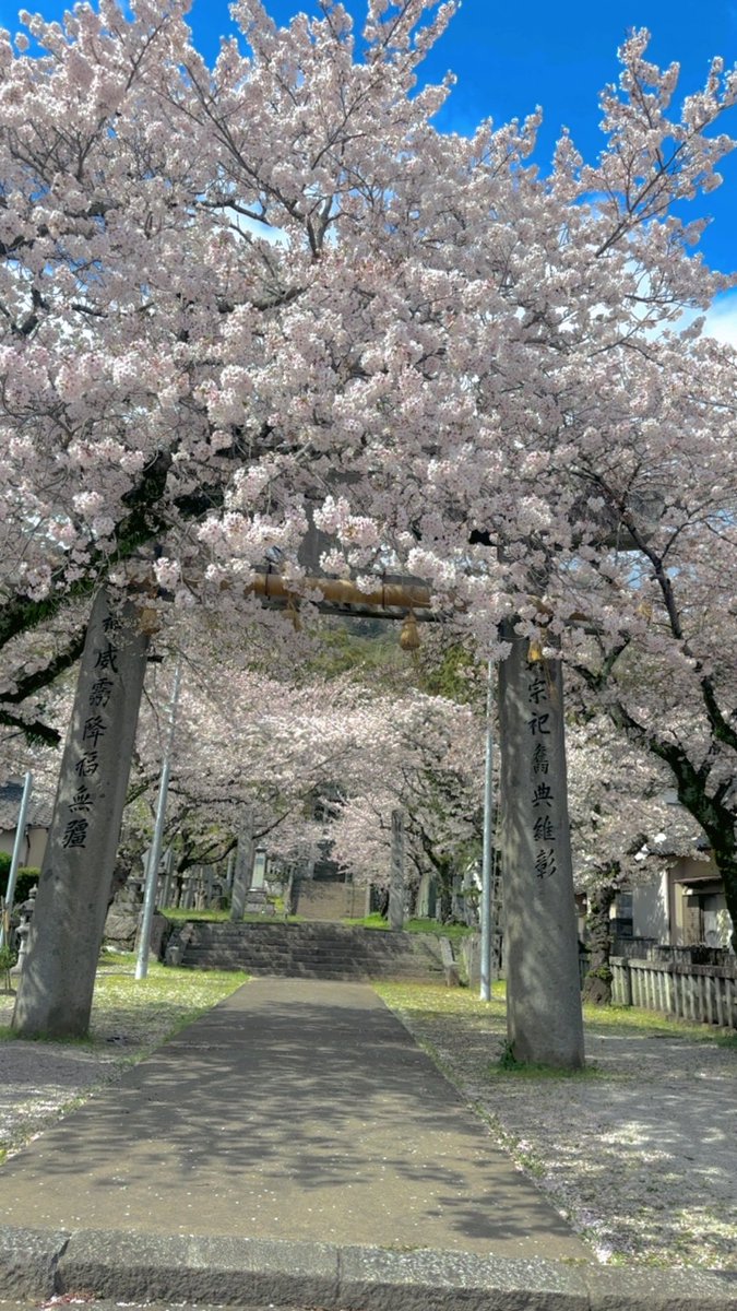 Honopi___0912's tweet photo. 最近の綺麗なもの in 香春神社 ｡❀ 𓂃𓈒𓏸 https://t.co/od6eOj9kg9