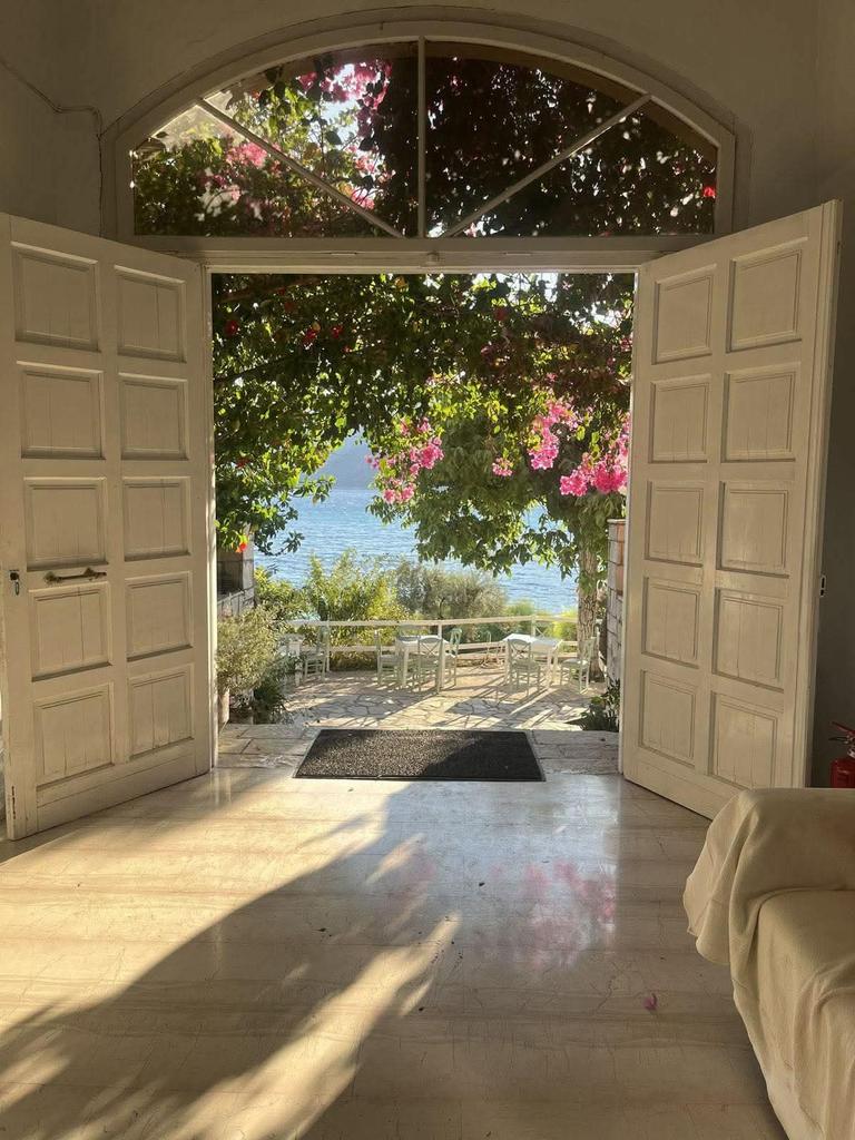 Alida Carbuccia tweet media