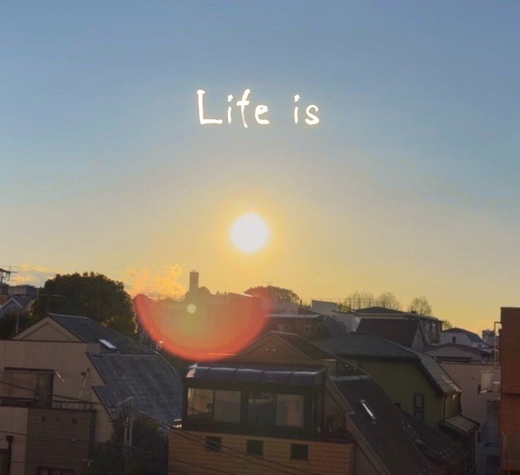 OLD CIRCUS tweet media