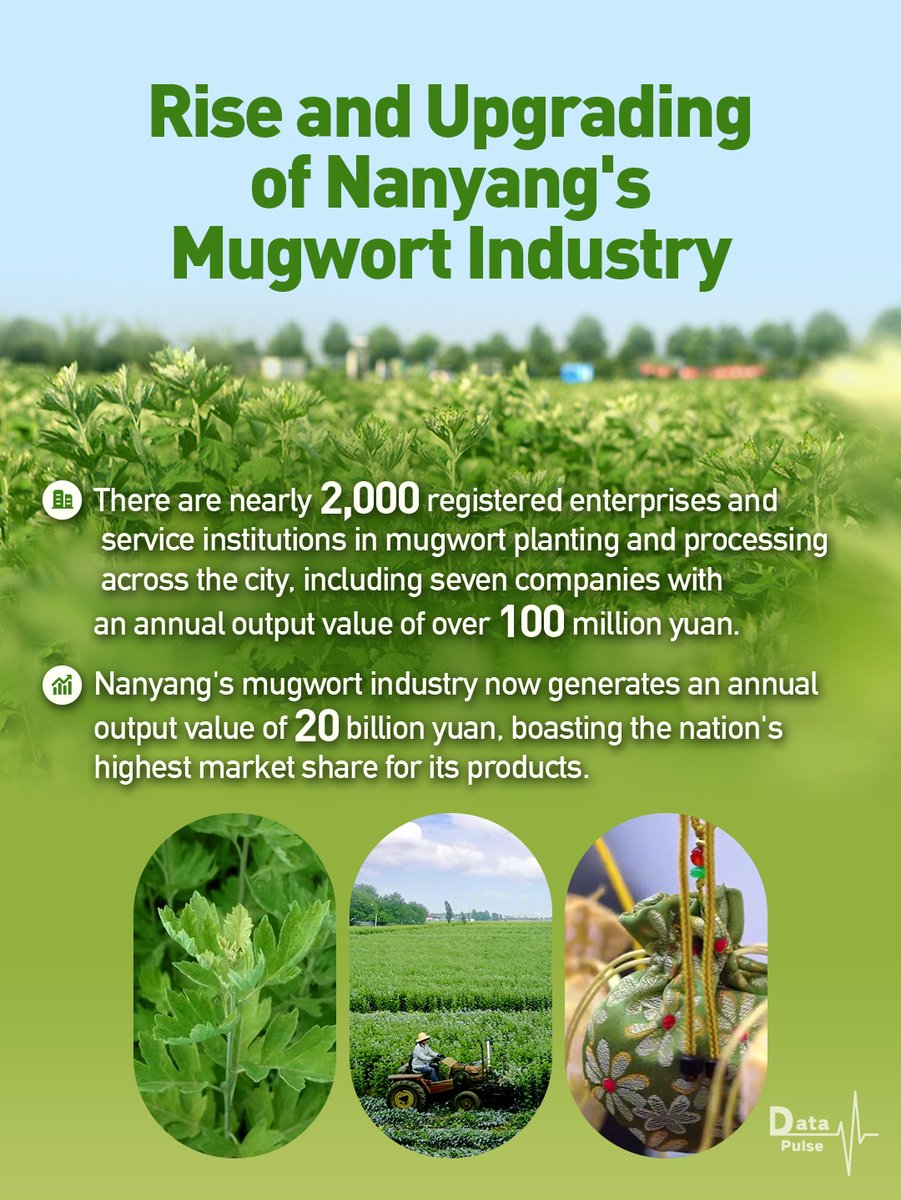 Chan Joe tweet media