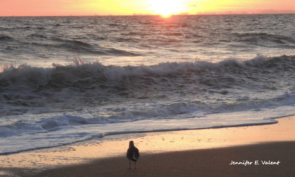 Perfect submission, all is at rest, 
I in my Savior am happy and blest;
watching and waiting, looking above, 
filled with His goodness, lost in His love.

This is my story, this is my song, 
praising my Savior all the day long.

-Fanny Crosby