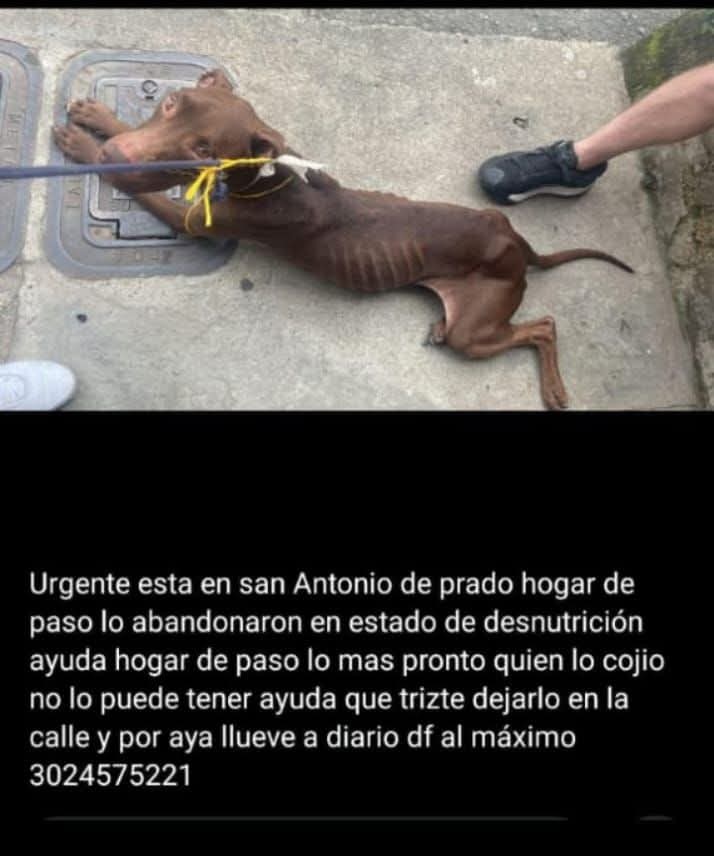 Jose Fernando🇺🇦 tweet media