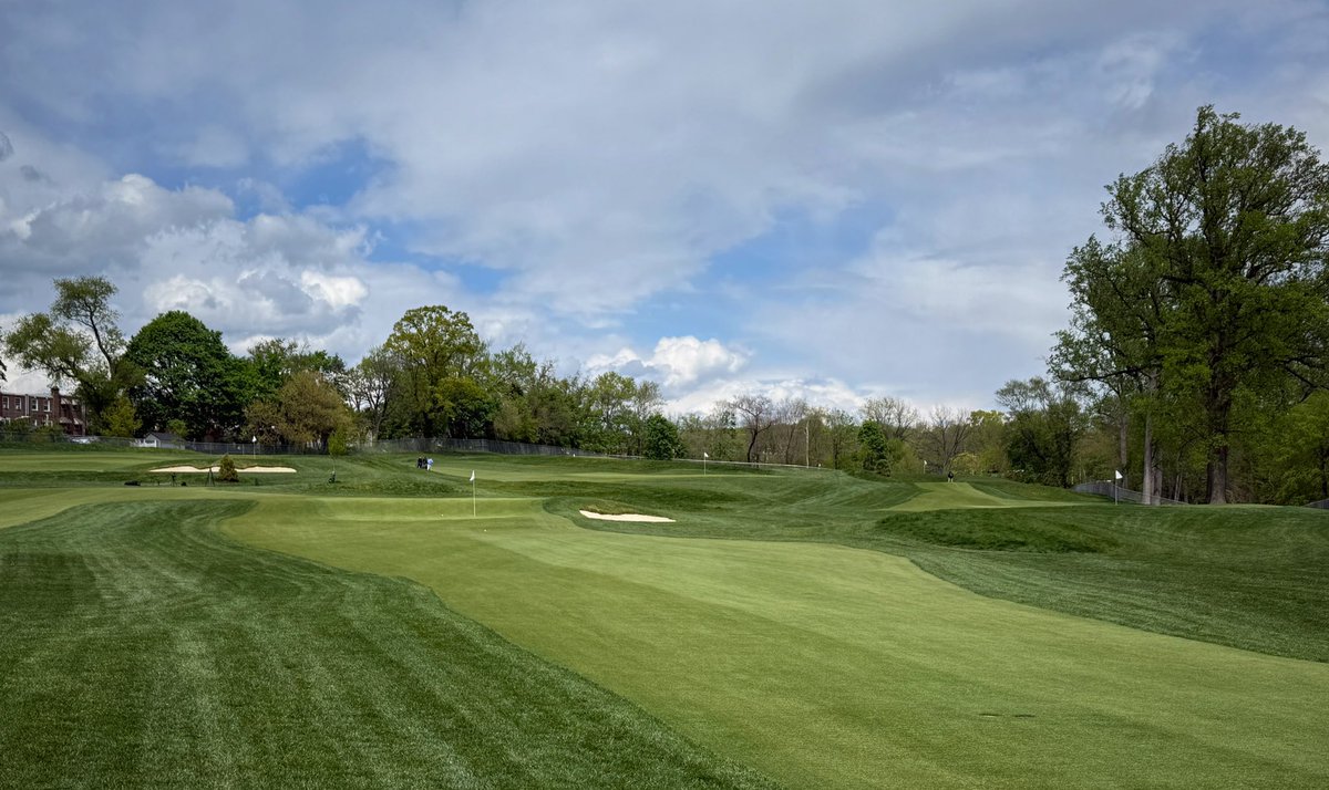 Tim Gavrich tweet media