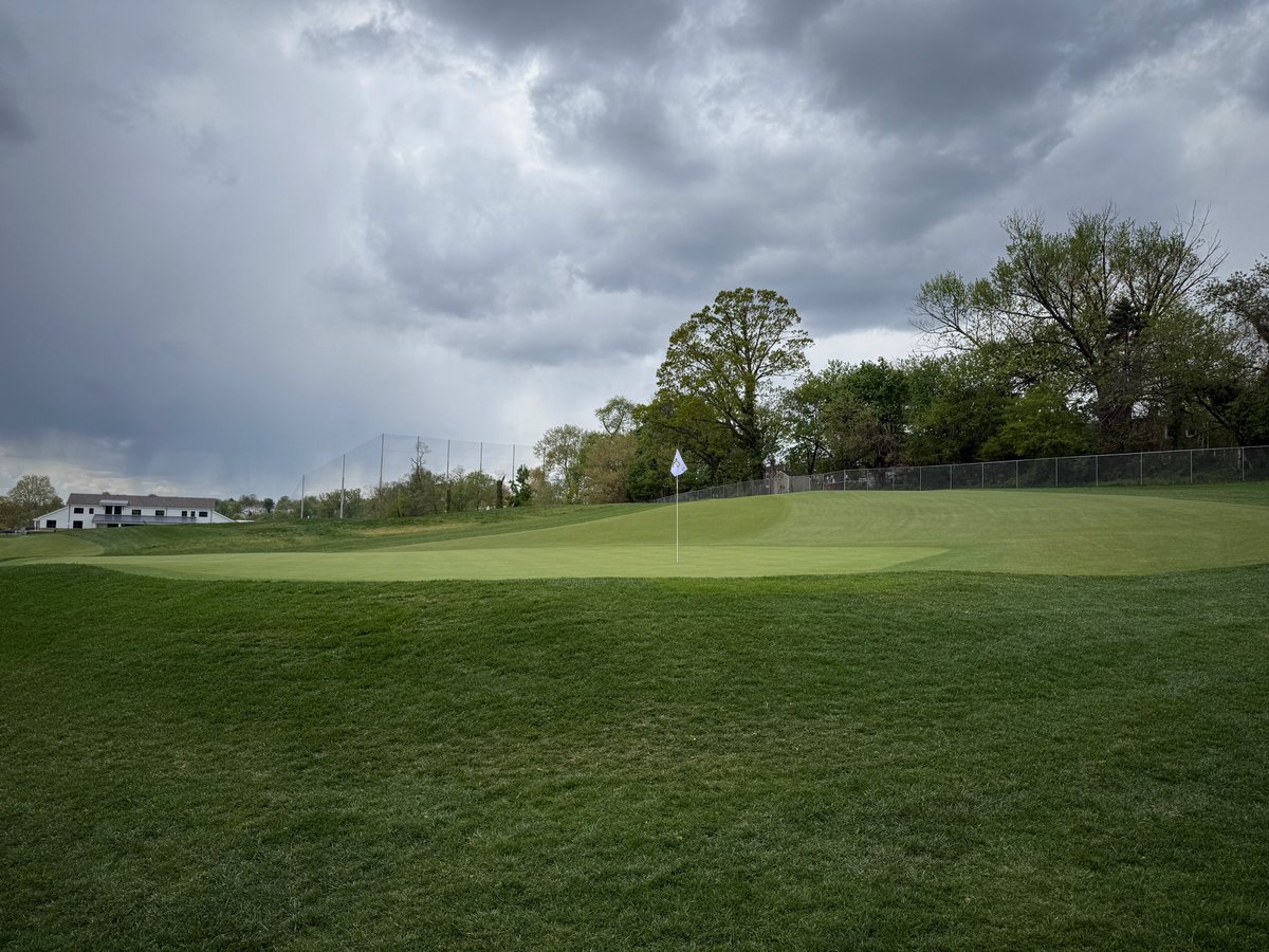 Tim Gavrich tweet media