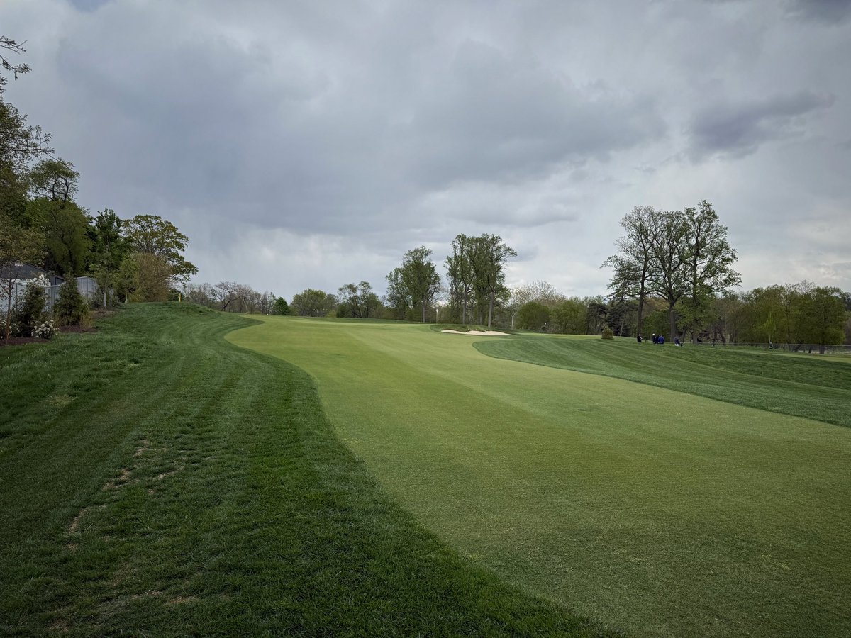 Tim Gavrich tweet media