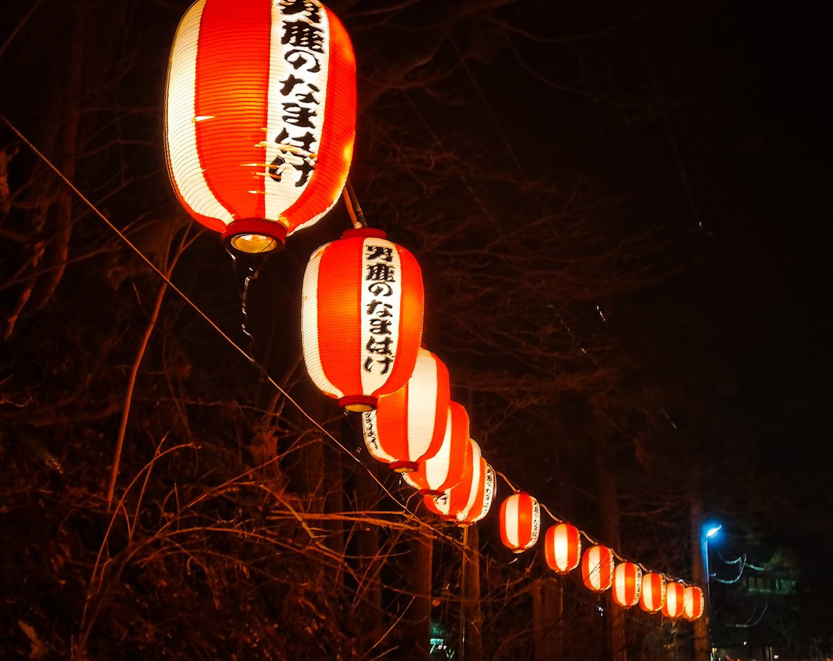 info_nicotaro's tweet photo. 最近撮った写真激選。 https://t.co/QHnTOdTiC6