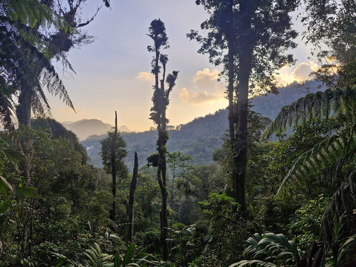 Lucie Hrdá tweet media