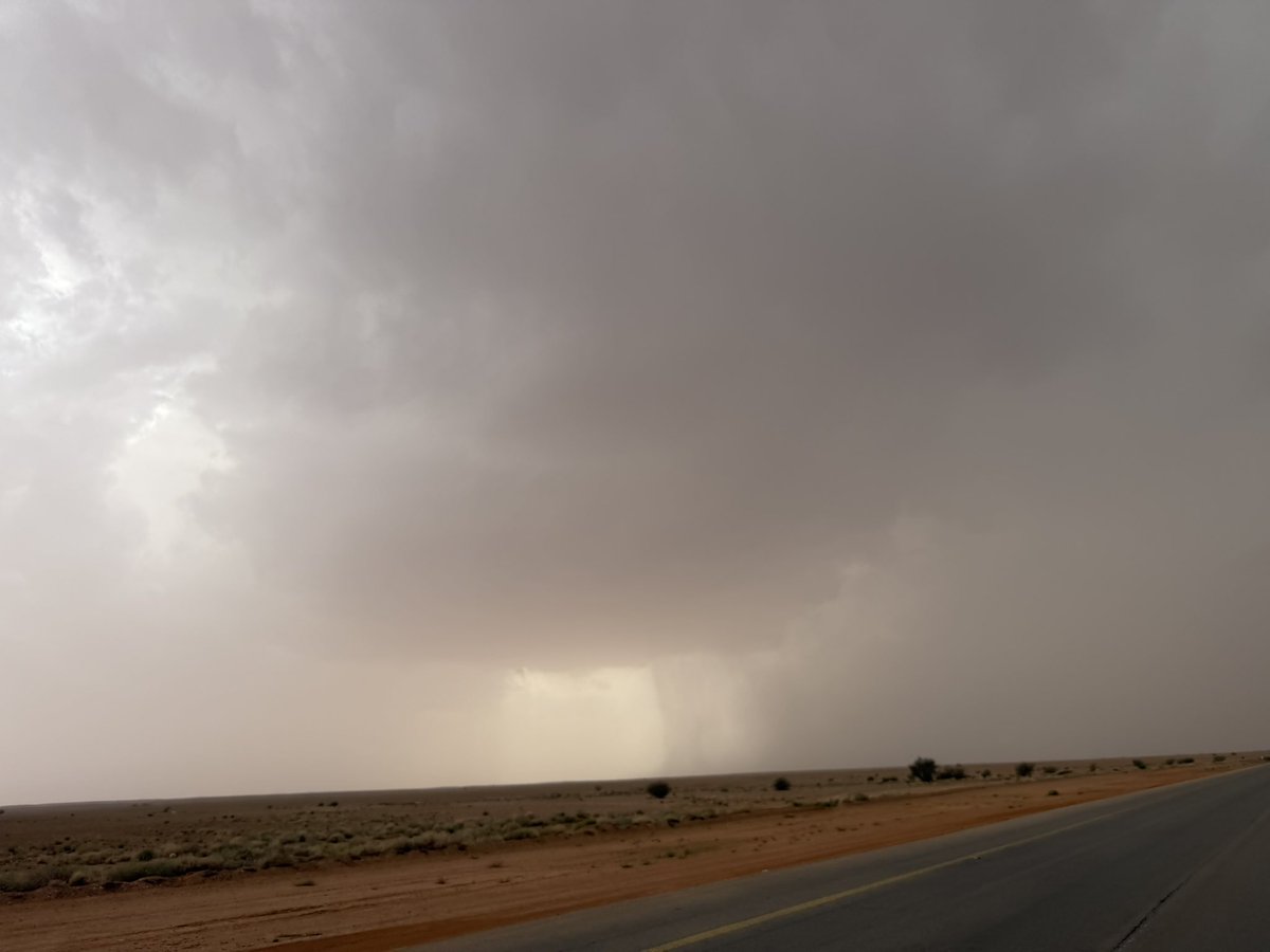 أيمن الشقاري tweet media