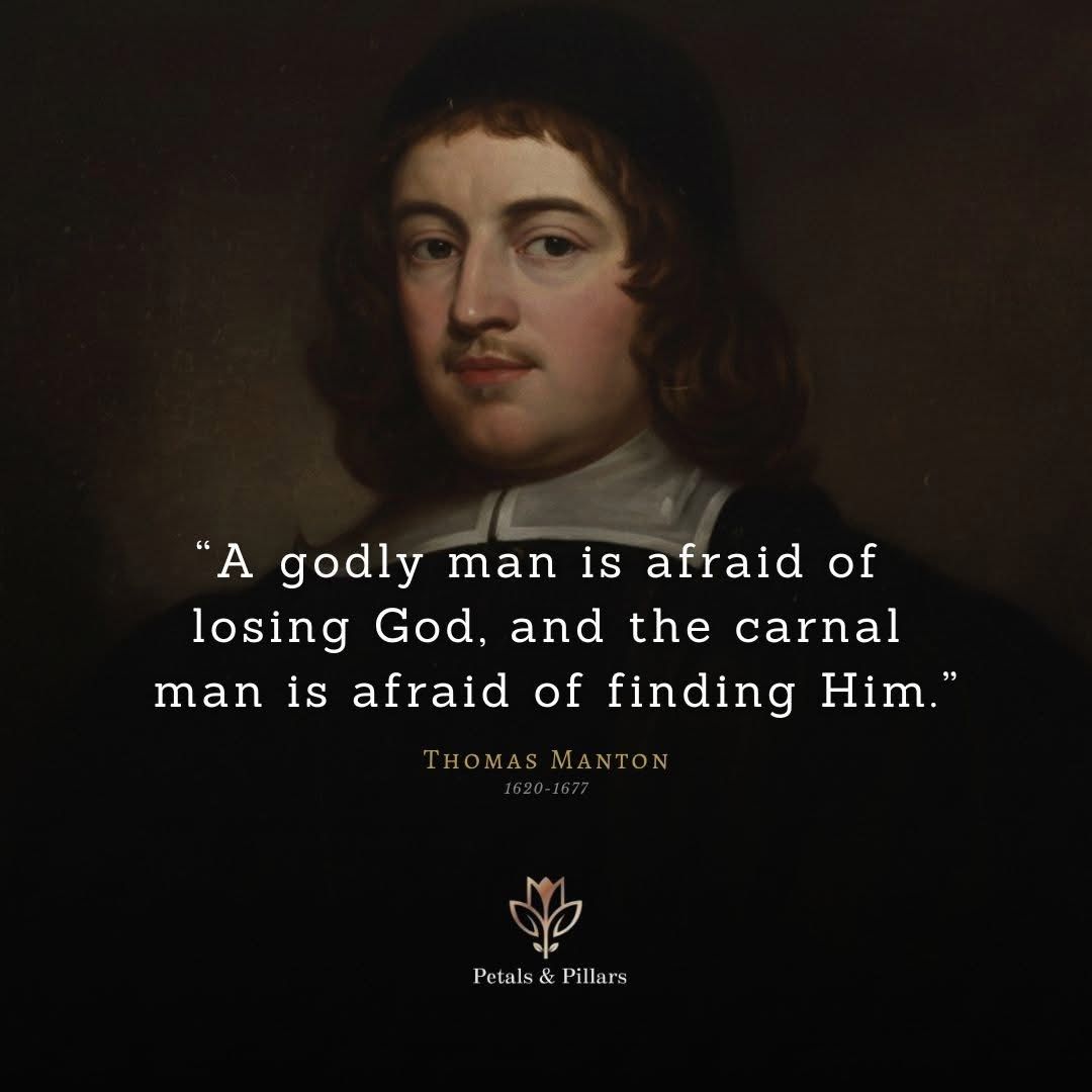 Puritan Gold tweet media