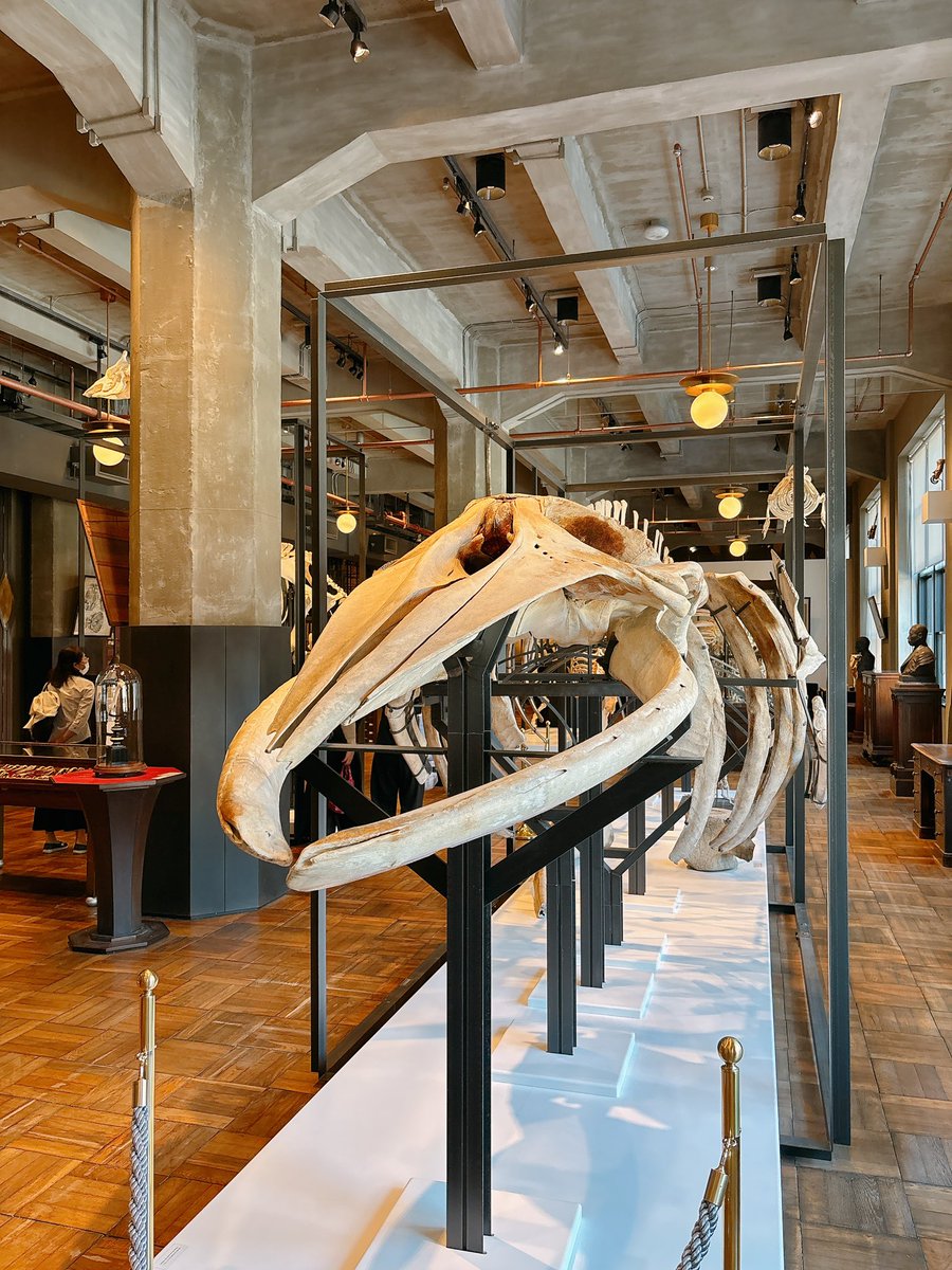 るね 『天宮図刊』 tweet media