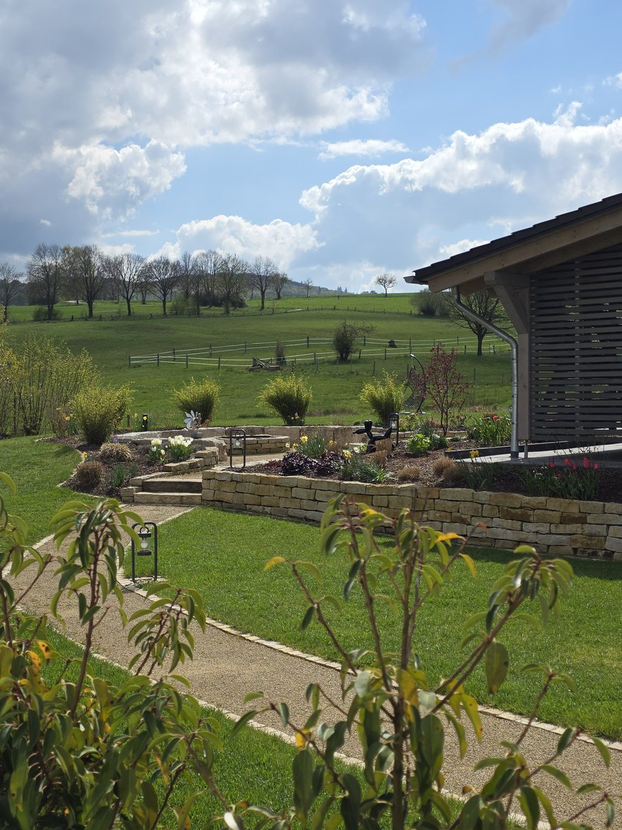 Stephan Luering 🇩🇪 tweet media