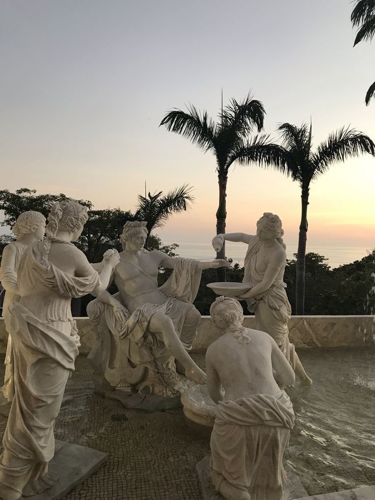 NatureVibe tweet media