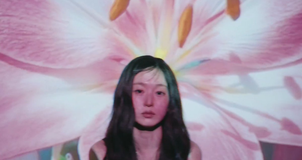 hard launching haely in the big 2026