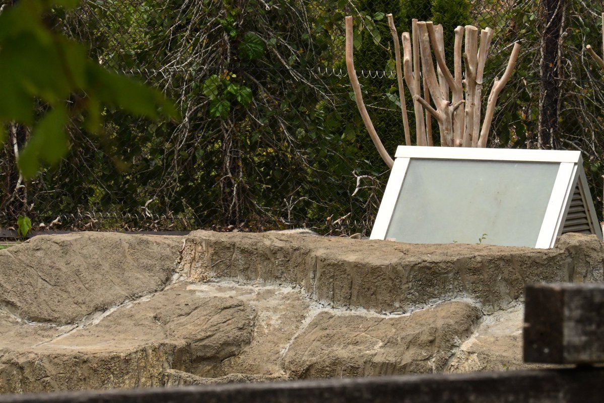 晴天(てん) tweet media