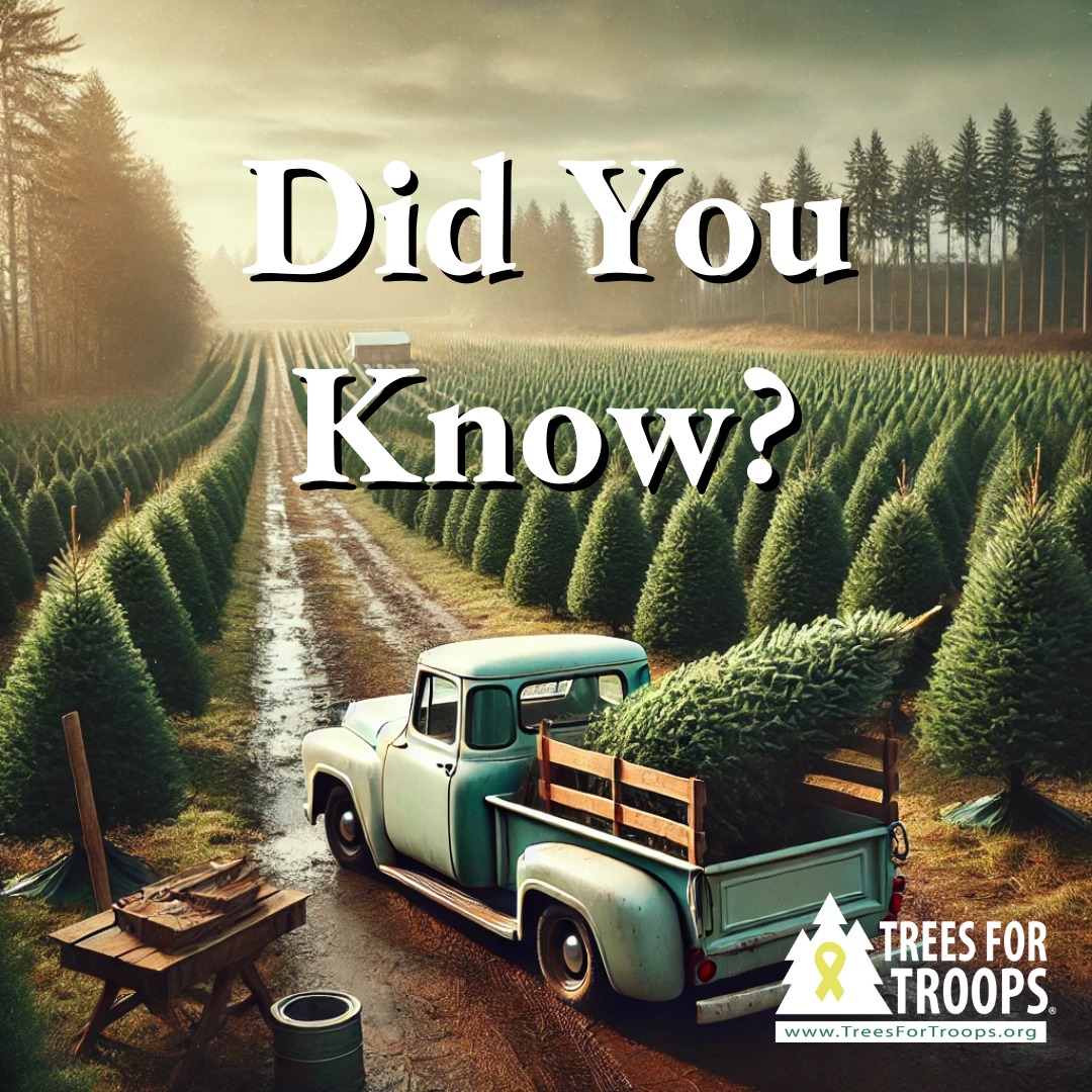 Trees for Troops tweet media