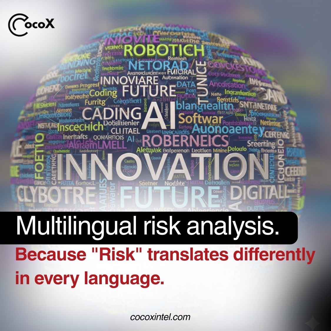cocoxintel's tweet photo. Multilingual risk analysis. Because "Risk" translate differently in every language. https://t.co/t6Vtd6qVPt