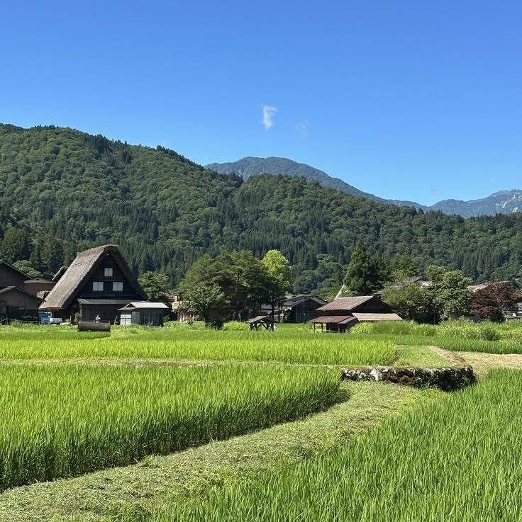 MozartCultures's tweet photo. japan countryside aesthetics https://t.co/S9ZfLnEpQ4