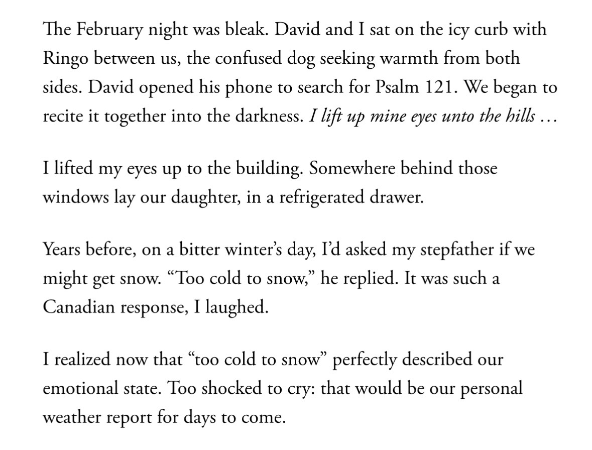 Dylan O'Sullivan tweet media
