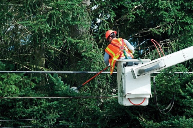Oakvillehydro's tweet photo. Spring tree trimming? Now’s the perfect time to prep your trees for healthy growth! 

Working near powerlines? Don’t risk it—always leave it to licensed arborists to keep you and your community safe.
Learn more: https://t.co/tQR2cE4JLX

#TreeMaintenance #SafeTreeTrimming https://t.co/ycDVK9yHZN