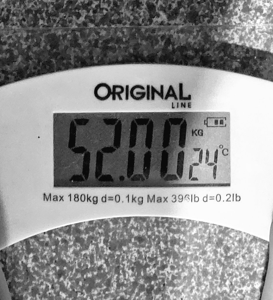 eveline honeymoon tweet media