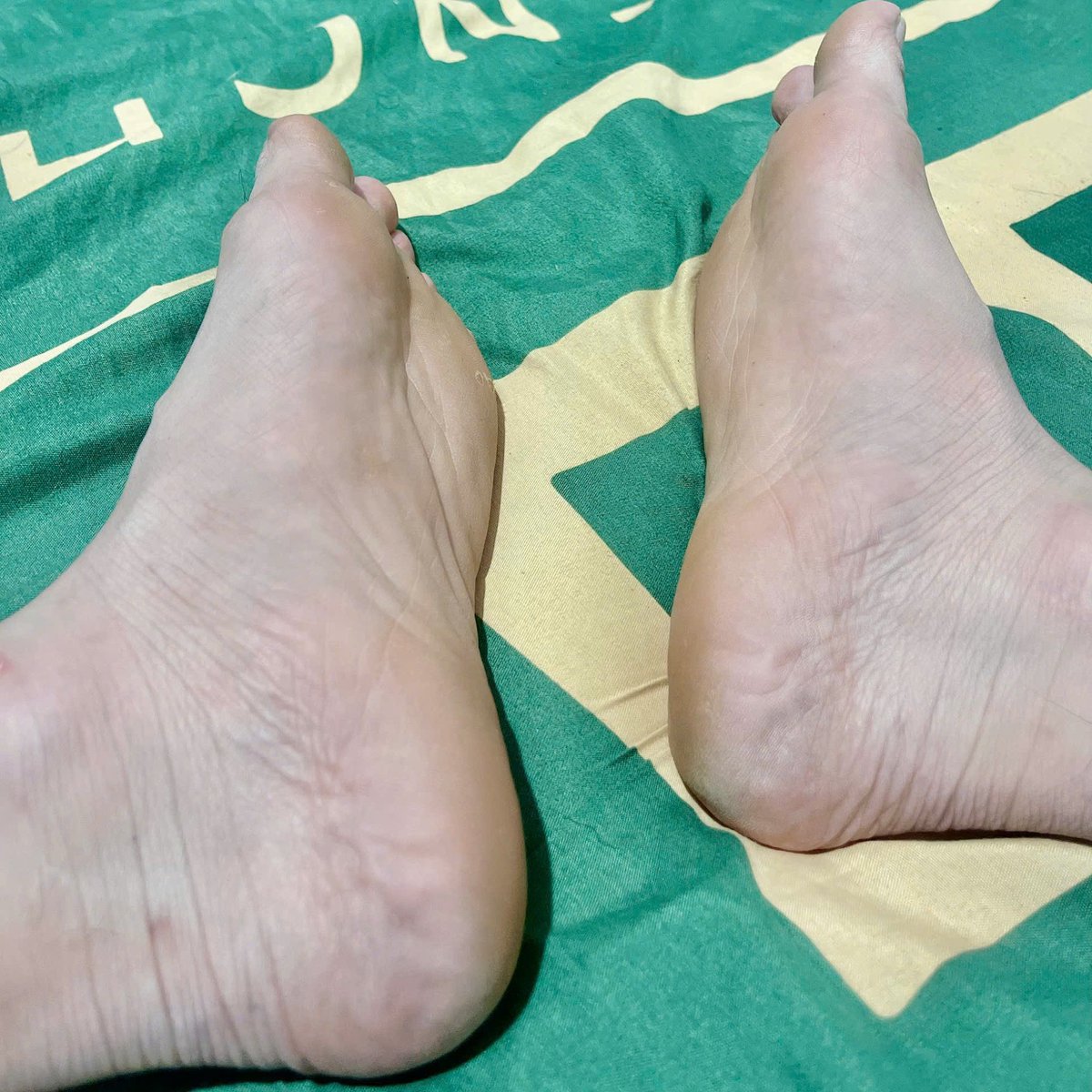 cần Thơ tweet media