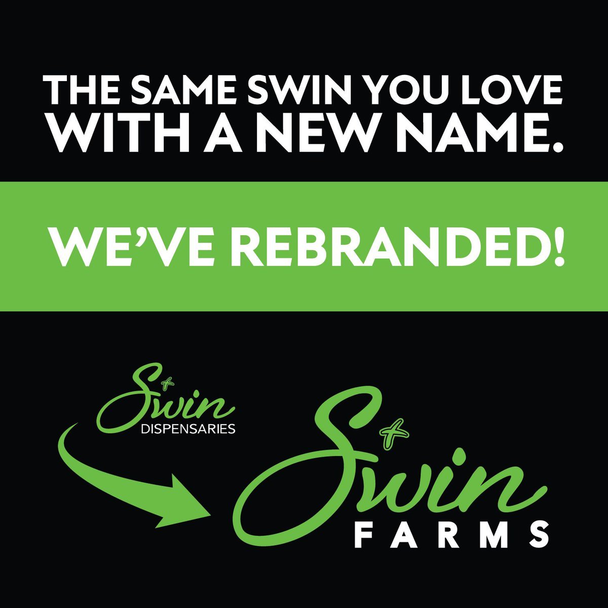 Swin_Farms's tweet photo. You’ll notice a new name around here, but it’s still the Swin you know and love. 

Our new name is Swin Farms. https://t.co/IfQf4WD5ak