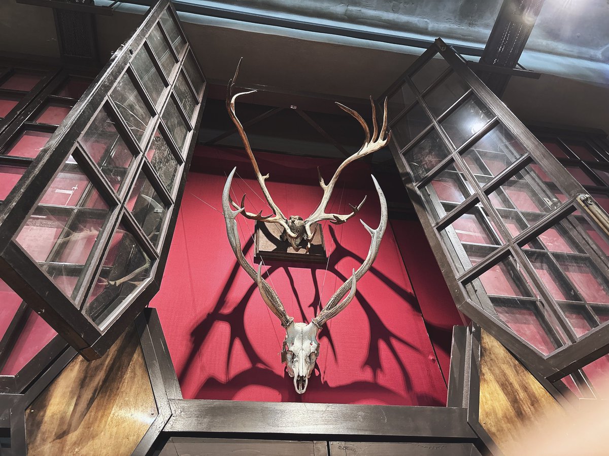 るね 『天宮図刊』 tweet media