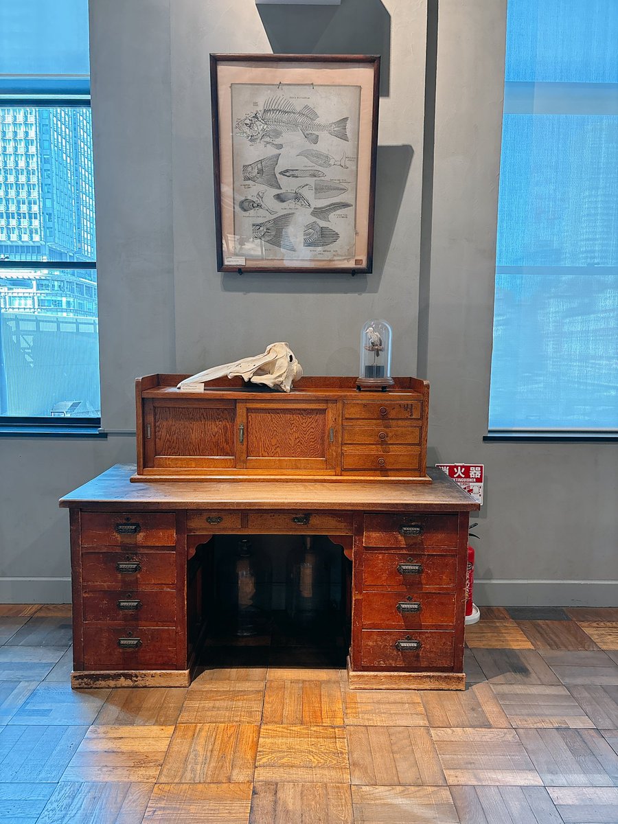 るね 『天宮図刊』 tweet media