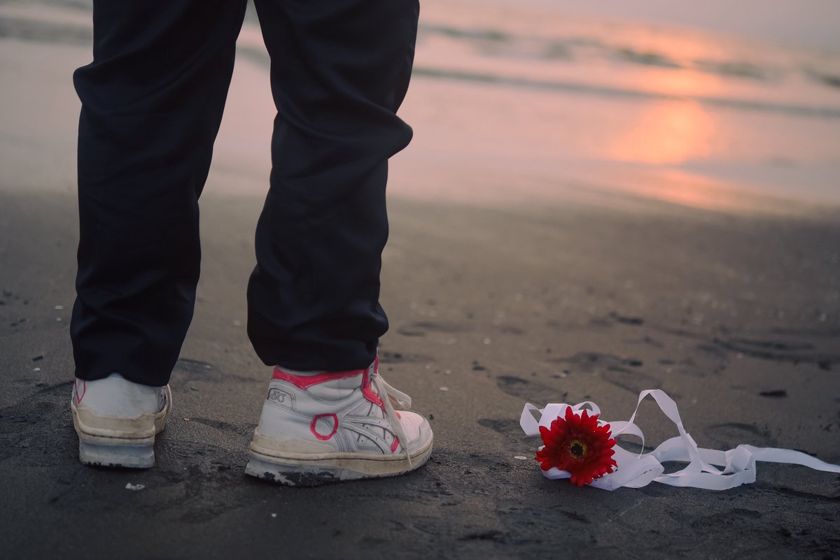 はるや tweet media