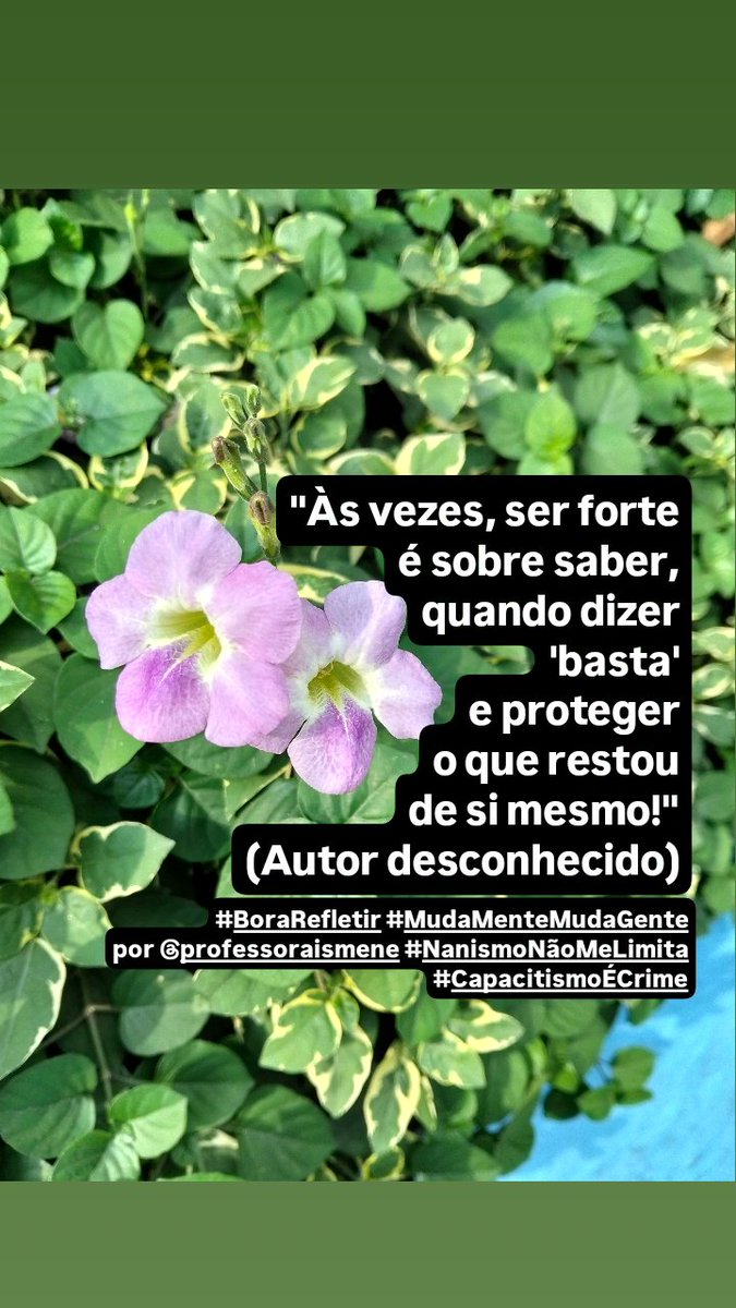 DaIsmene's tweet photo. Às vezes, carregar as asas dos outros é muito mais pesado do que carregar as nossas e o outro precisa aprender a carregar suas próprias asas sob o risco de não conseguir voar! #BoraRefletir #MudaMenteMudaGente por @professoraismene #NanismoNãoMeLimita #CapacitismoÉCrime https://t.co/z9s0eeaOLm