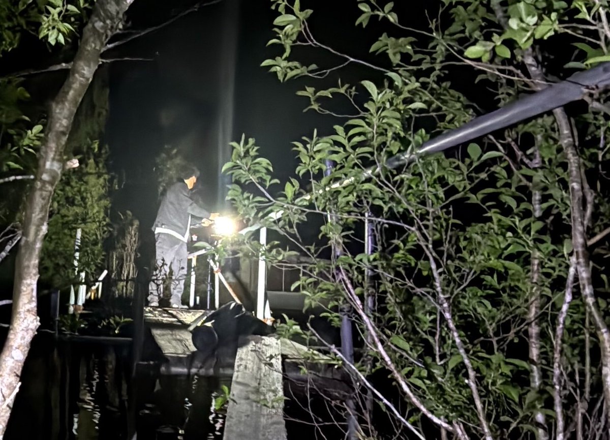 ちーば@こちホラ tweet media