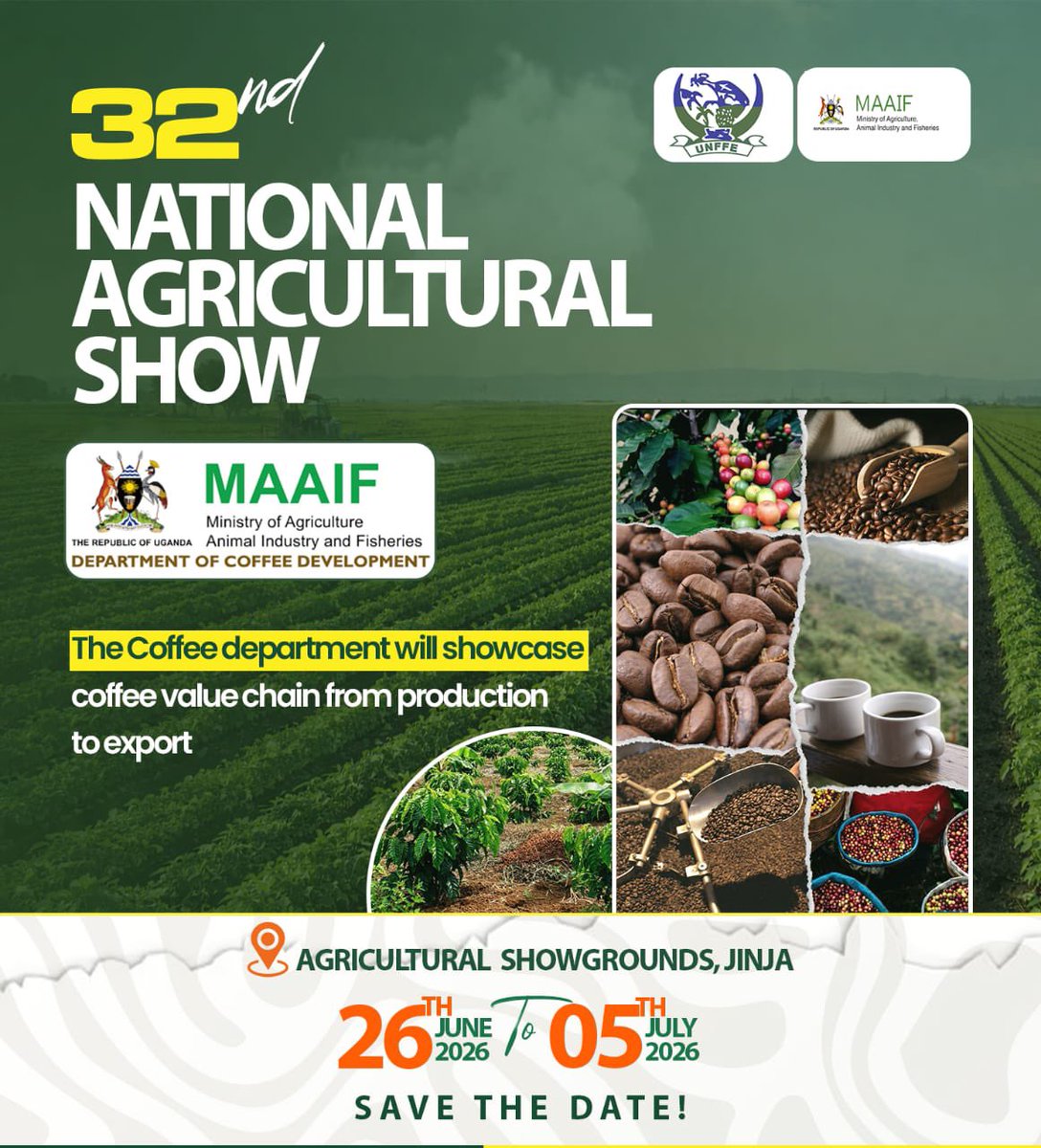 FD TV Media tweet media