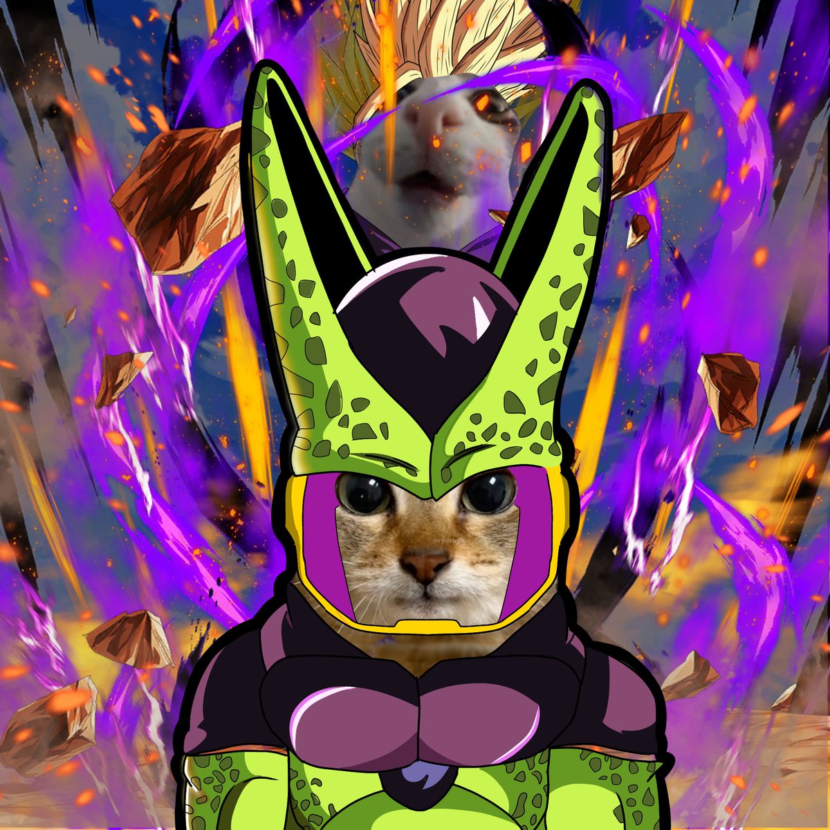 NEW ZENKAI AWAKENING 

Perfect Form Call LEGENDS LIMITED