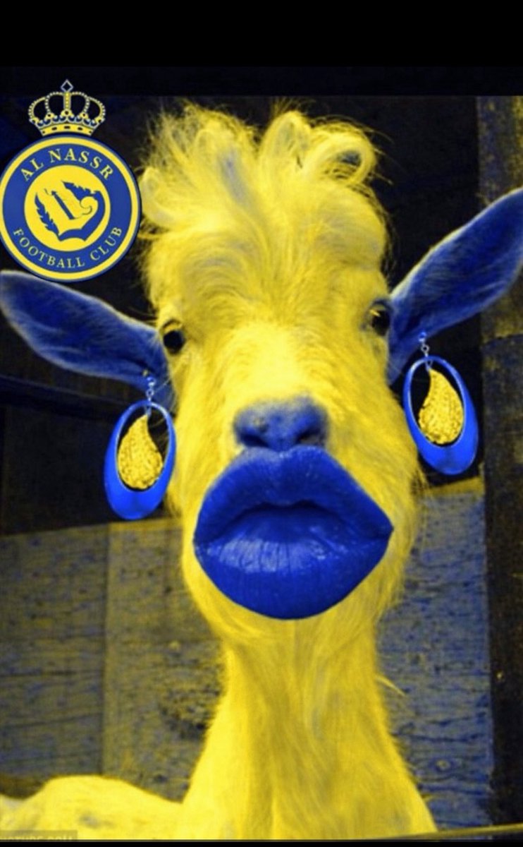 اول نادي بطل النخبه الاسيويه tweet media