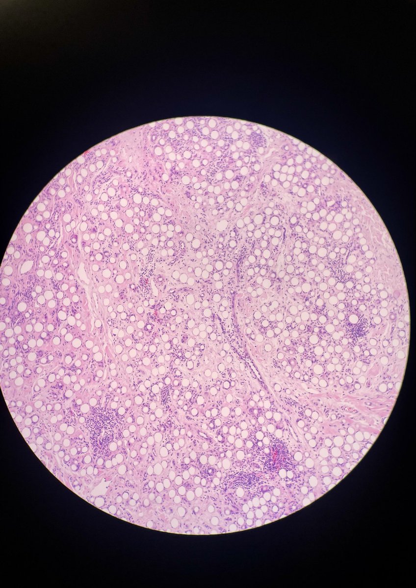Allison Osmond MD MSc FRCPC tweet media