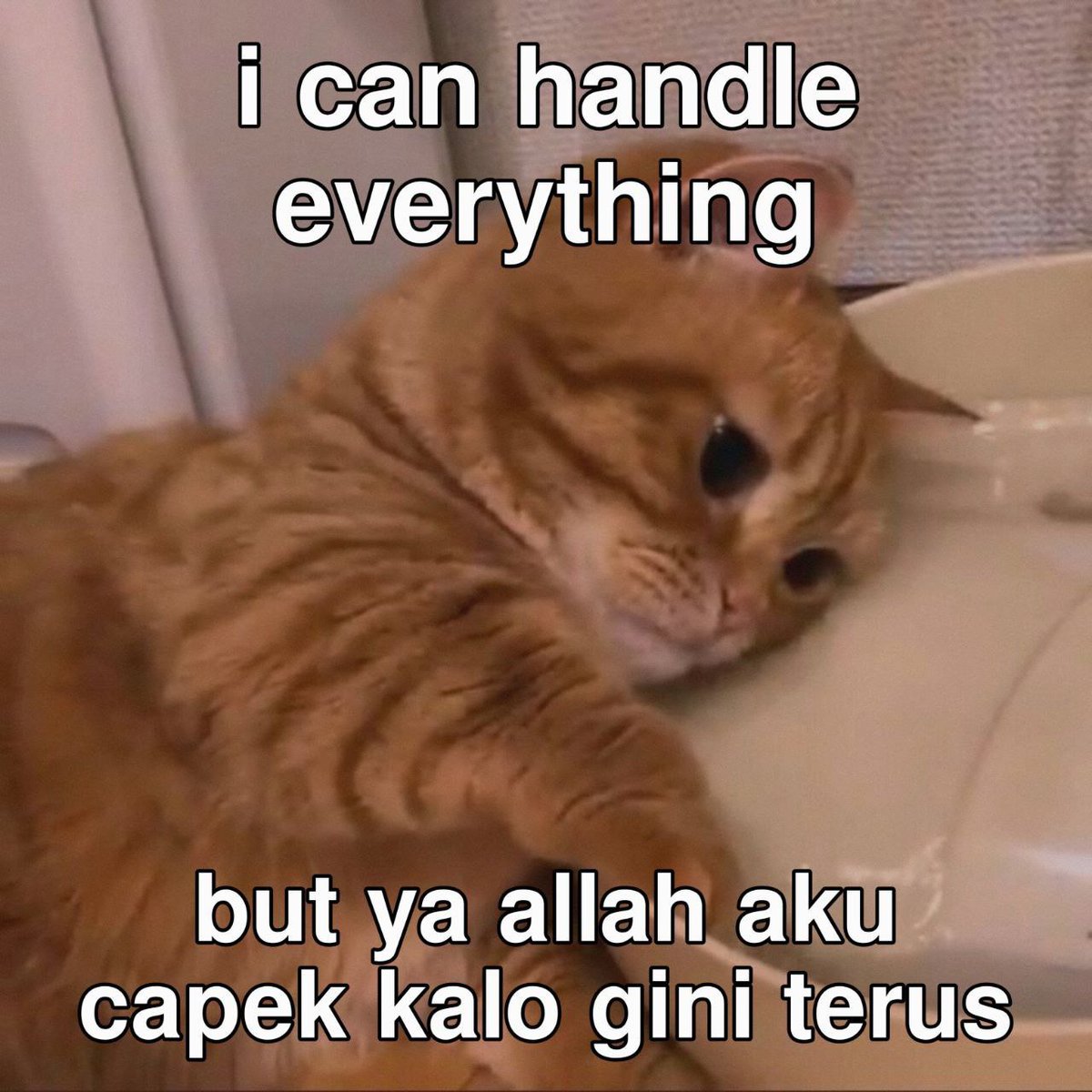 aksara penyedia jasa tweet media