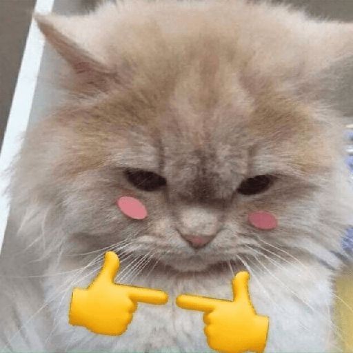 aksara penyedia jasa tweet media