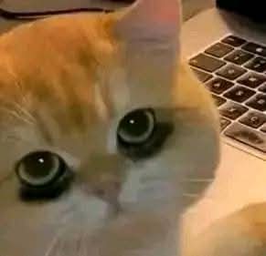 aksara penyedia jasa tweet media